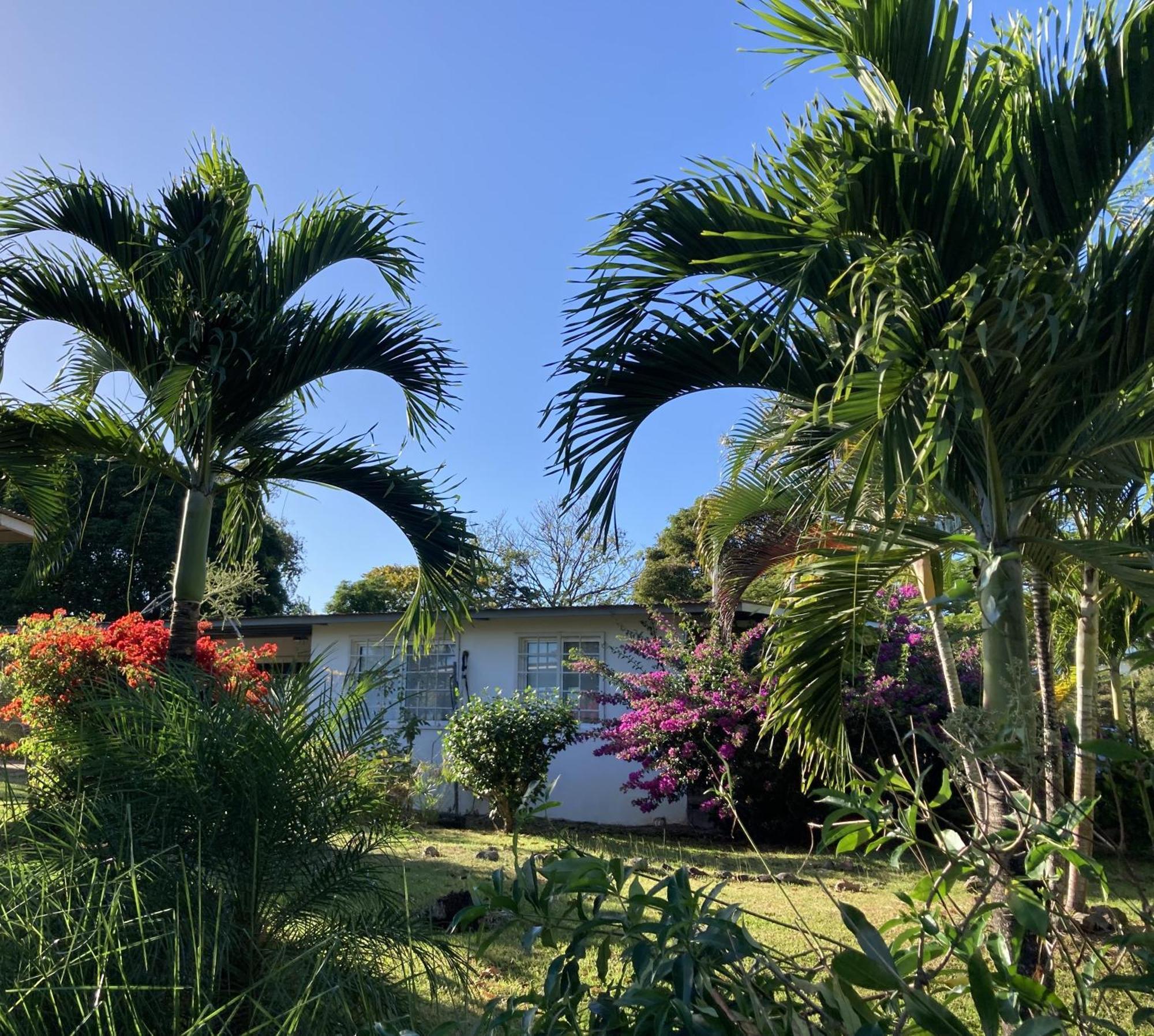 La Maracuya Panama Bed & Breakfast ปลายา โกโรนาโด ภายนอก รูปภาพ