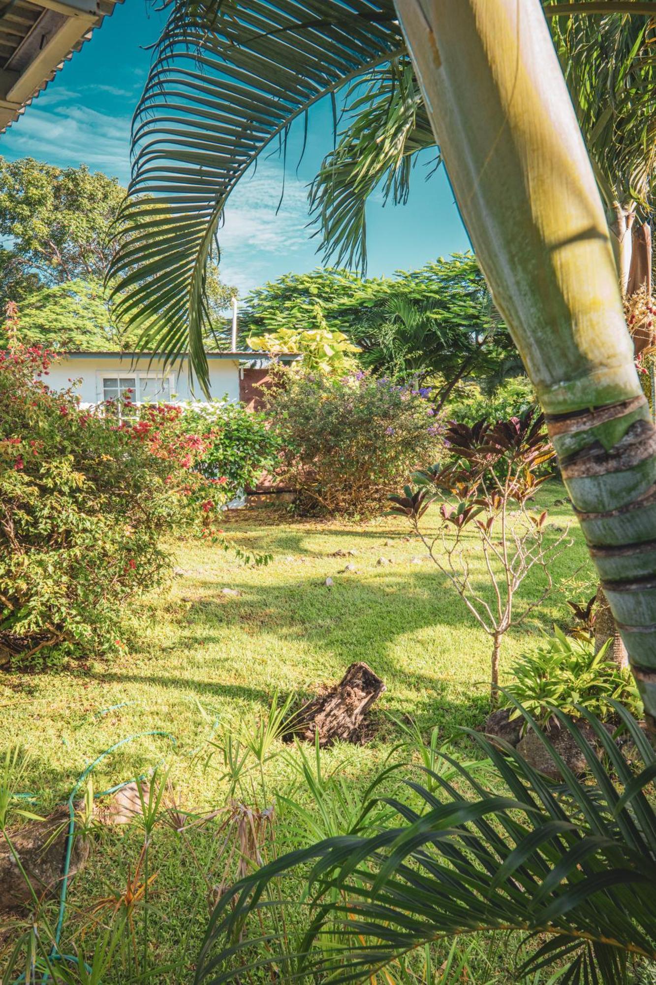 La Maracuya Panama Bed & Breakfast ปลายา โกโรนาโด ภายนอก รูปภาพ